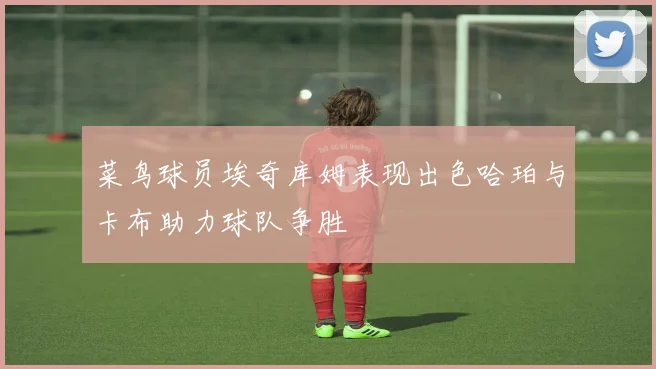 菜鸟球员埃奇库姆表现出色哈珀与卡布助力球队争胜