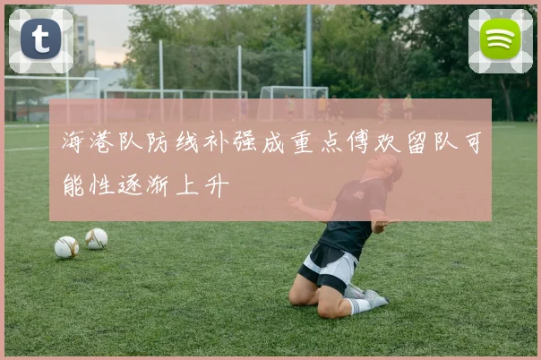 海港队防线补强成重点傅欢留队可能性逐渐上升