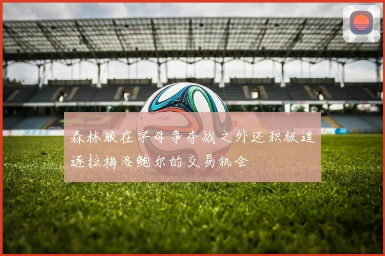 森林狼在字母争夺战之外还积极追逐拉梅洛鲍尔的交易机会